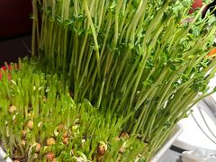 -洞子口重庆鲜货火锅(楚翘城旗舰店)