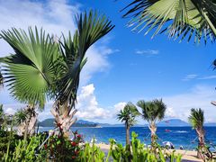 -大梅沙海滨公园