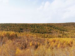 -塞罕坝国家级自然保护区