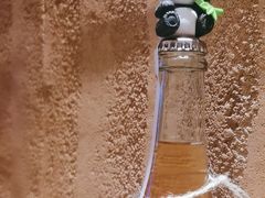 -滇野云南野生菌餐厅(陕西南路店)