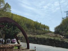 -莫干山风景区