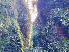 -峨眉山风景名胜区