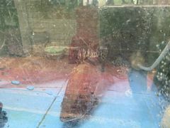 -稻香村鱼庄