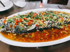 -飞虹鱼馆(春华路店)