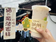 -猫的魔法密林(衣裳街店)