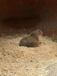 -酷嗒动物文化乐园(cutezoo西溪乐天城店)