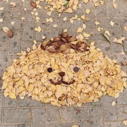 -Oasis Beauty水磨坊科技美肤中心