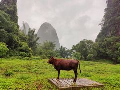 -钟山水墨田园