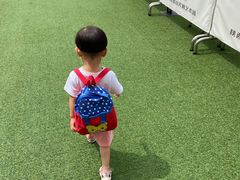 -陕西省小天鹅艺术团