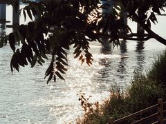 -银沙滩浴场