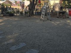 -长洲岛都市农业公园