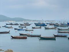 -海源公园
