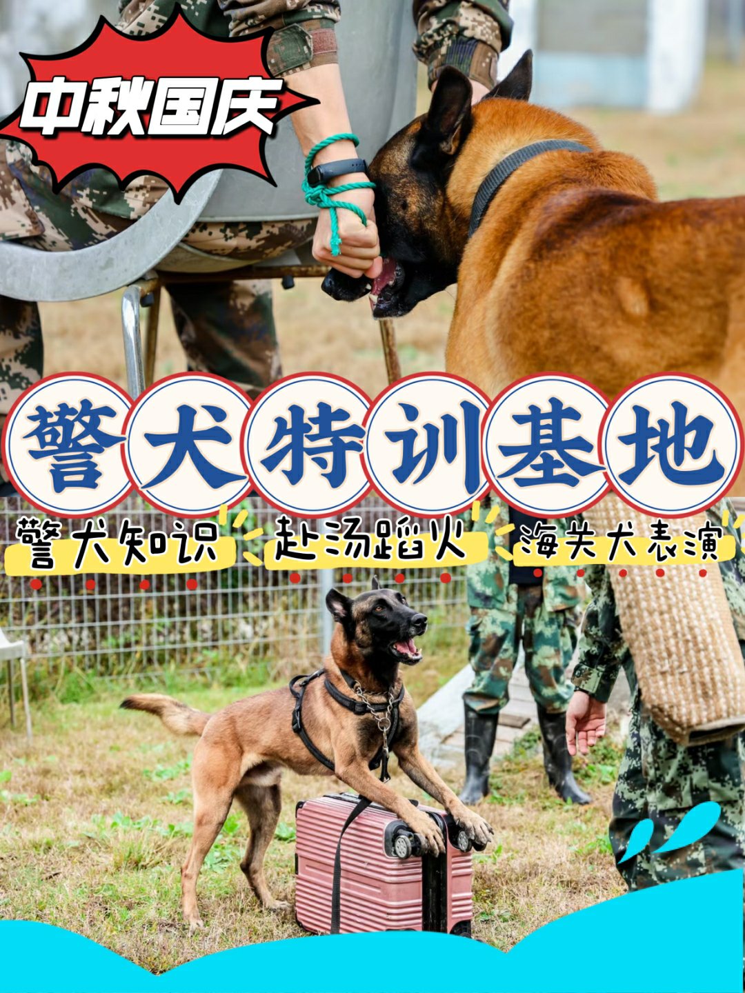 武警警犬基地图片