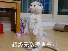 -果呀呀(国金街店)