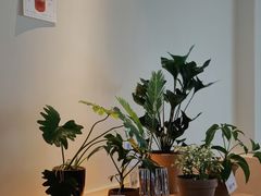 -fishtank鱼缸咖啡(三山街店)