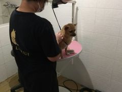 -Double Rui宠物酒店