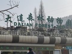 -大连森林动物园