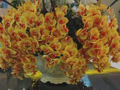 -太平洋PACIFIC SPA•奢睿水疗(万象城店)