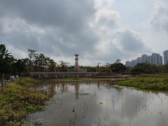 -中澳友谊花园