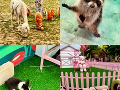 -渔岛海洋度假区