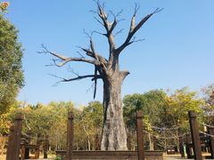 -梁鸿国家湿地公园