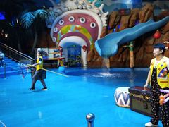 -烟台海昌鲸鲨海洋公园