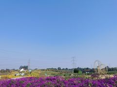 -紫颐香薰山谷景区