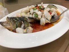 -悦来轩顺德菜(寮厦店)