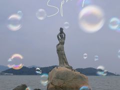 -野狸岛