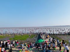 -南汇新城海滩