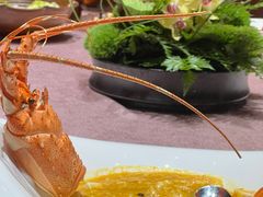 -新光酒家·河豚·海鲜·蟹料理(浦东店)