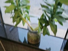 -天和晟烤鸭店(玉泉西街店)