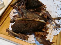 -食家鸽园
