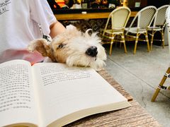 -Peet's 皮爷咖啡(东湖路手作店)