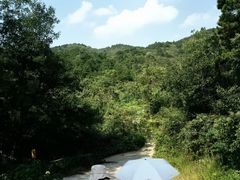 -木兰云雾山