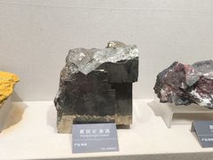 -安徽省地质博物馆