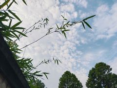 -广州神农草堂中医药博物馆
