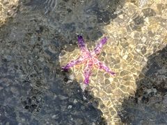 -威海国际海水浴场旅游区