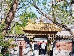 -护国法轮寺