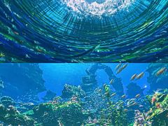 -海合安青岛极地海洋公园