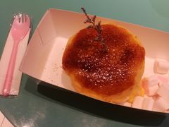 -狐狸和向日葵(北京路店)