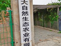 -大自然农场蔬菜草莓采摘园