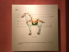 -西安大唐西市博物馆