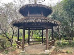 -杏花村文化旅游区