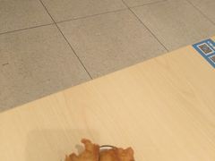 -乡村基(世纪店)