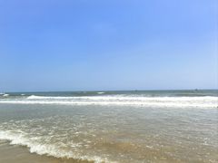 -日照海滨国家森林公园