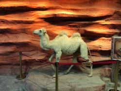 -酷嗒动物文化乐园(cutezoo西溪乐天城店)