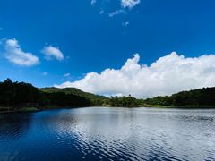 -海南热带雨林国家公园吊罗山景区