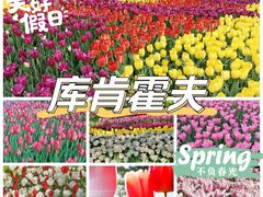 -库肯霍夫公园