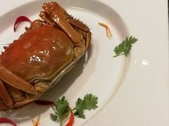 -济南喜来登酒店-采悦轩中餐厅